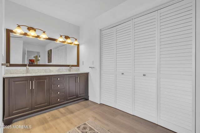 full bathroom featuring double vanity, wood finished floors, a closet, and a sink