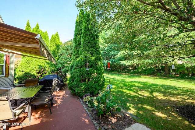 view of yard with outdoor dining space and a patio