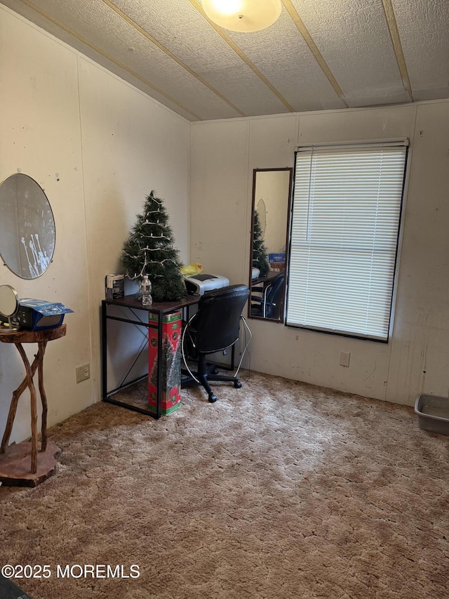 home office with carpet flooring and a textured ceiling