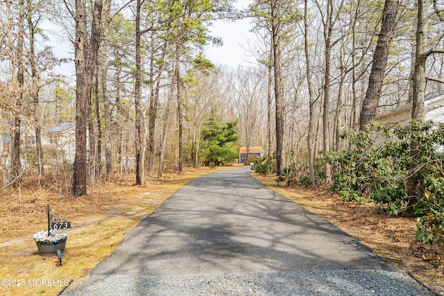 view of street featuring aphalt driveway