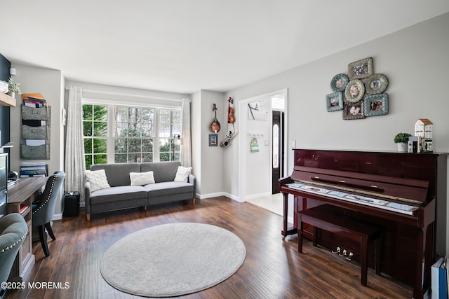 living area featuring baseboards and dark wood-type flooring