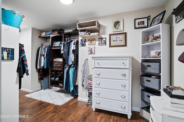 spacious closet featuring dark wood-style floors