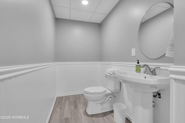 bathroom featuring a drop ceiling, toilet, a sink, wood finished floors, and wainscoting