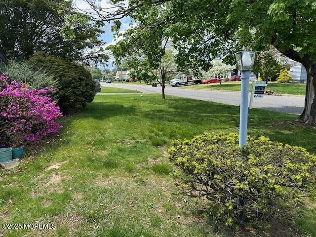 32 Cooper Ave, West Long Branch, NJ 07764 - view of yard