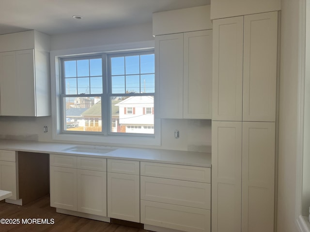 kitchen featuring light countertops and white cabinetry