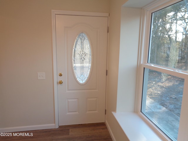 entrance foyer with baseboards, a wealth of natural light, and wood finished floors