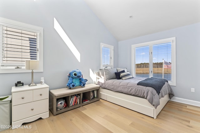 45 Royal Dr, Brick, NJ 08723 - bedroom with lofted ceiling, light wood-style floors, and a skylight
