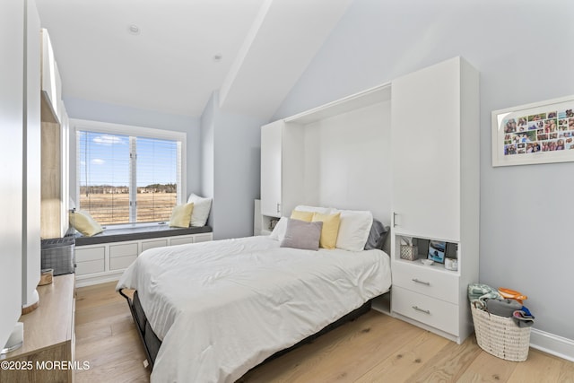 45 Royal Dr, Brick, NJ 08723 - bedroom featuring lofted ceiling and light wood finished floors