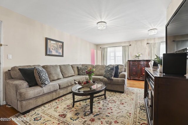 living room with light wood-type flooring