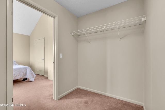 spacious closet featuring light carpet