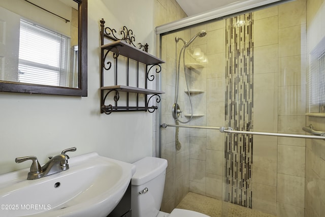 full bathroom featuring toilet, a shower stall, and a sink