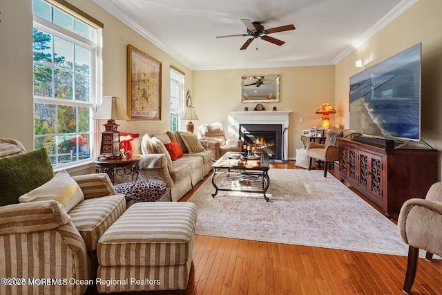 living room with ornamental molding, a ceiling fan, a lit fireplace, and hardwood / wood-style flooring