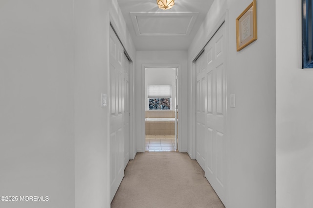 hallway featuring attic access and light colored carpet