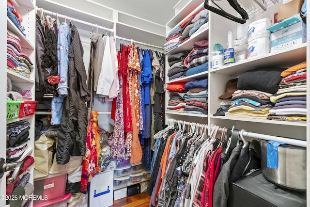 view of spacious closet