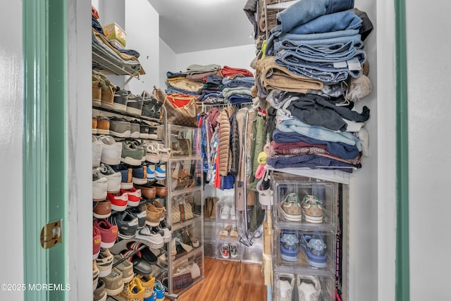 walk in closet featuring wood finished floors