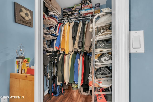 walk in closet featuring wood finished floors