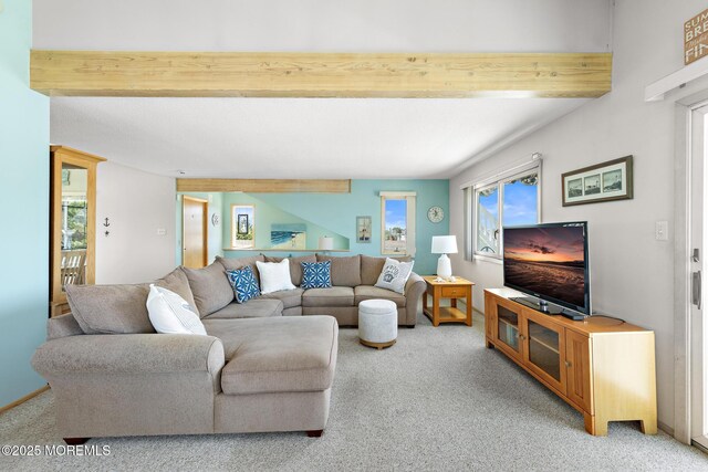 357 W 10th St, Ship Bottom, NJ 08008 - photo 6