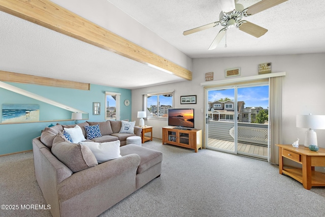 357 W 10th St, Ship Bottom, NJ 08008 - photo 7