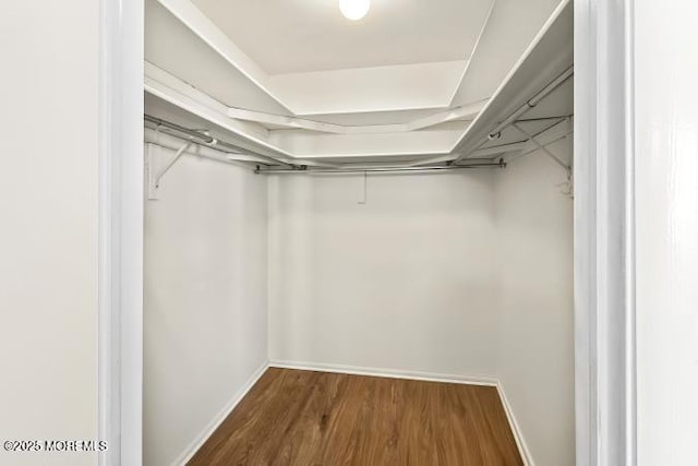 spacious closet with wood finished floors