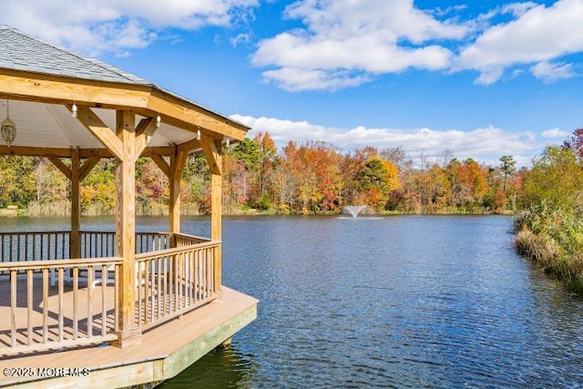 dock area featuring a water view