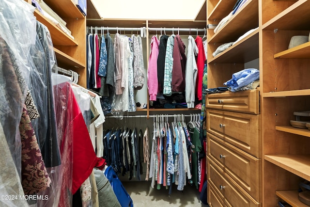 view of spacious closet