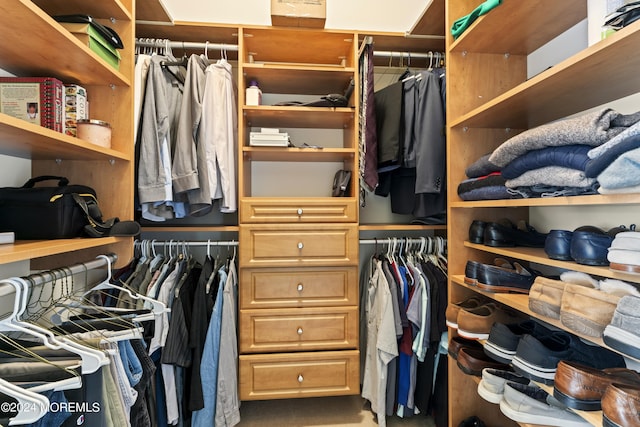 view of spacious closet