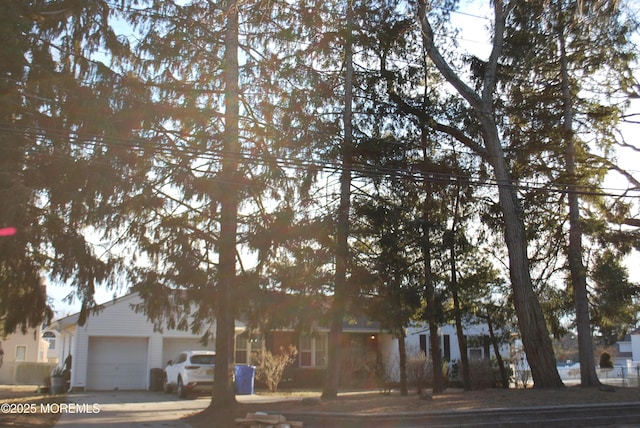 view of property hidden behind natural elements featuring a garage