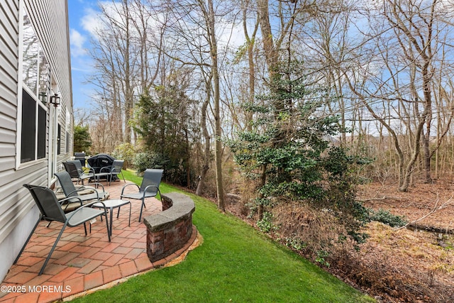 view of yard with a patio area