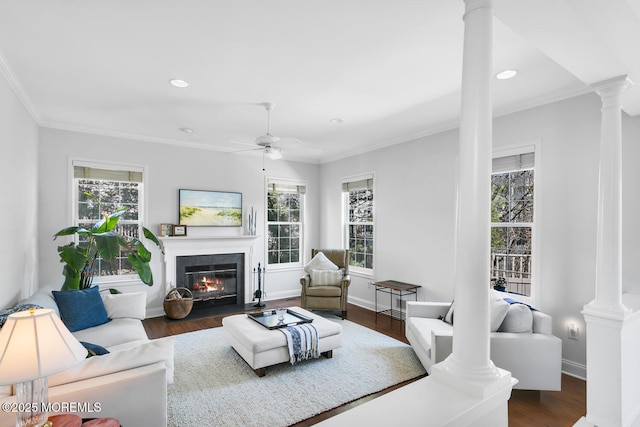 living area with wood finished floors, a fireplace with flush hearth, and ornate columns