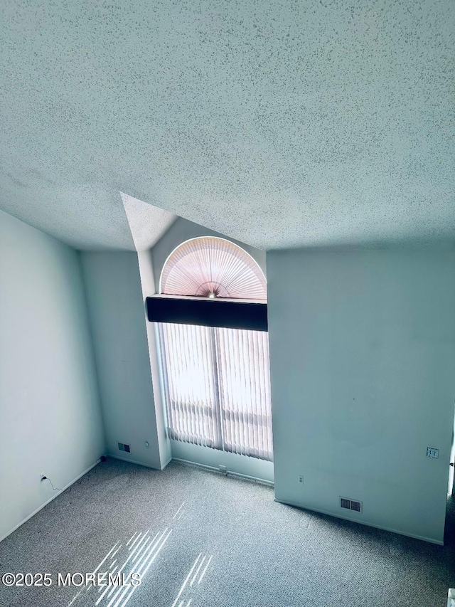 spare room with carpet, visible vents, and a textured ceiling