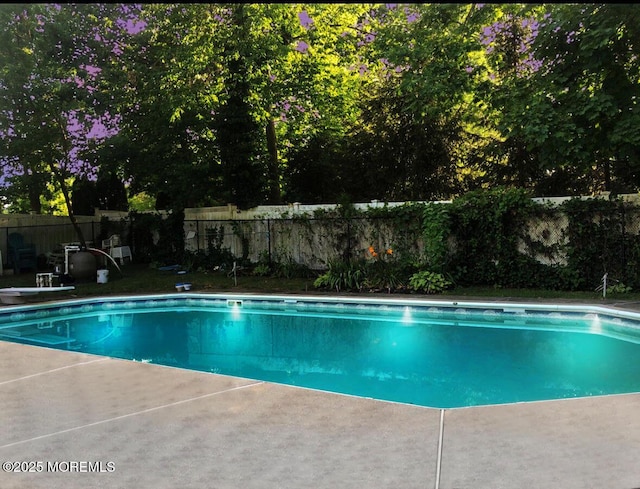 view of swimming pool with a fenced in pool, a fenced backyard, a patio, and a diving board