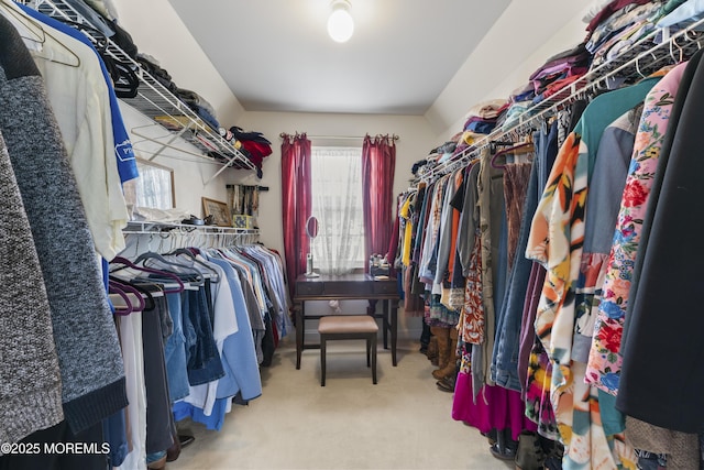 spacious closet with carpet flooring