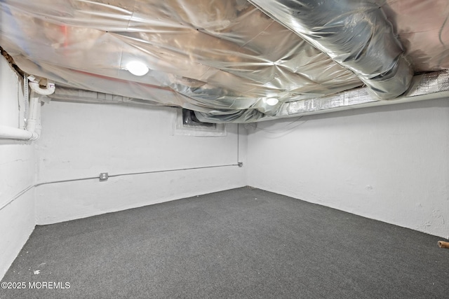 unfinished below grade area with carpet floors