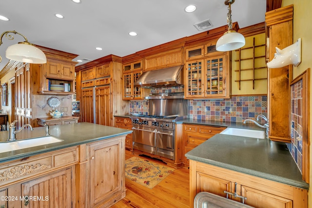 kitchen featuring high quality appliances, ventilation hood, a sink, and visible vents