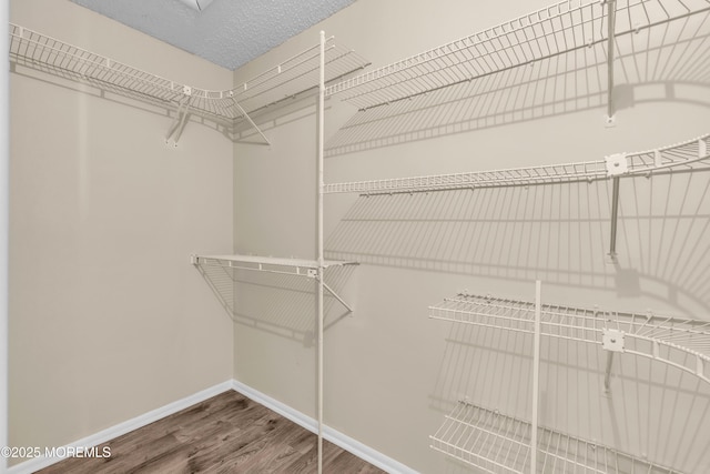 walk in closet featuring wood finished floors