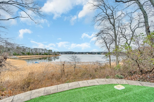 property view of water