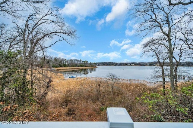 view of water feature