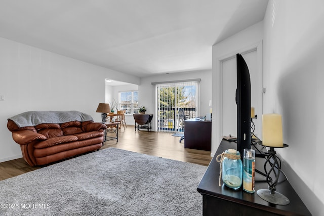 living room with wood finished floors