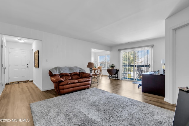 living room featuring baseboards and wood finished floors