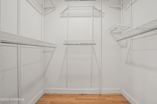 spacious closet with light wood-style flooring