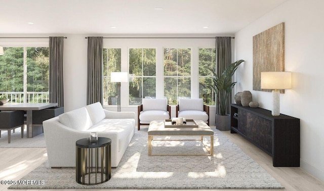 living room featuring light wood finished floors