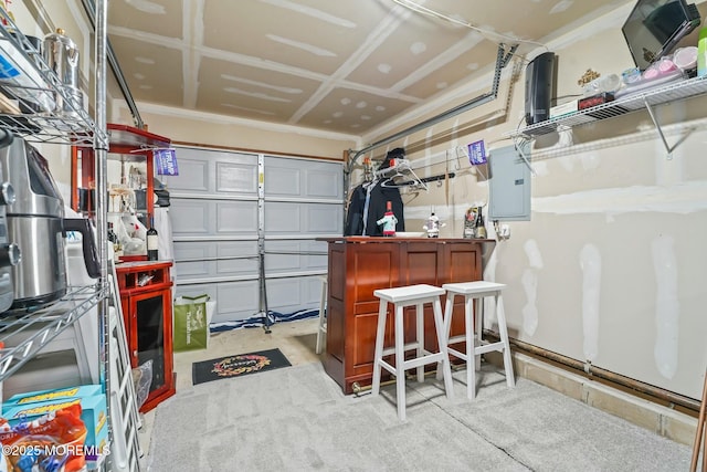 garage with electric panel