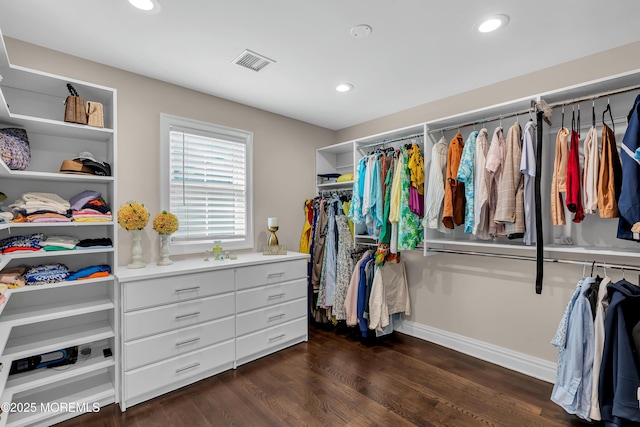 spacious closet featuring visible vents and dark wood finished floors