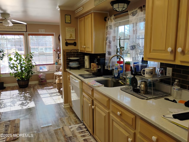 kitchen with tasteful backsplash, white dishwasher, ornamental molding, and a sink