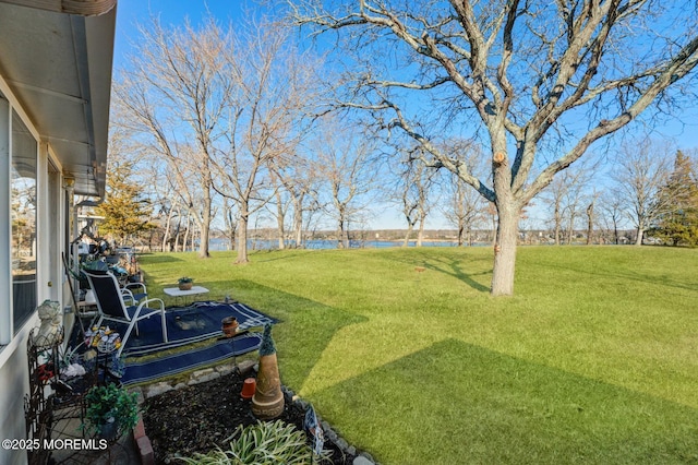 view of yard with a water view