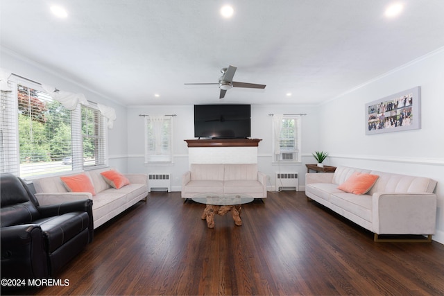 living area featuring crown molding, radiator, wood finished floors, and ceiling fan