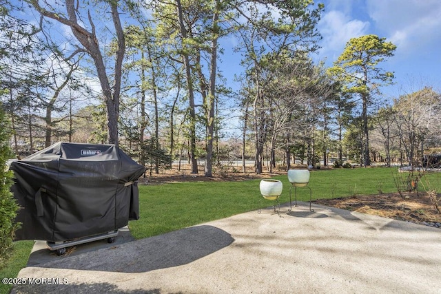 view of yard featuring a patio