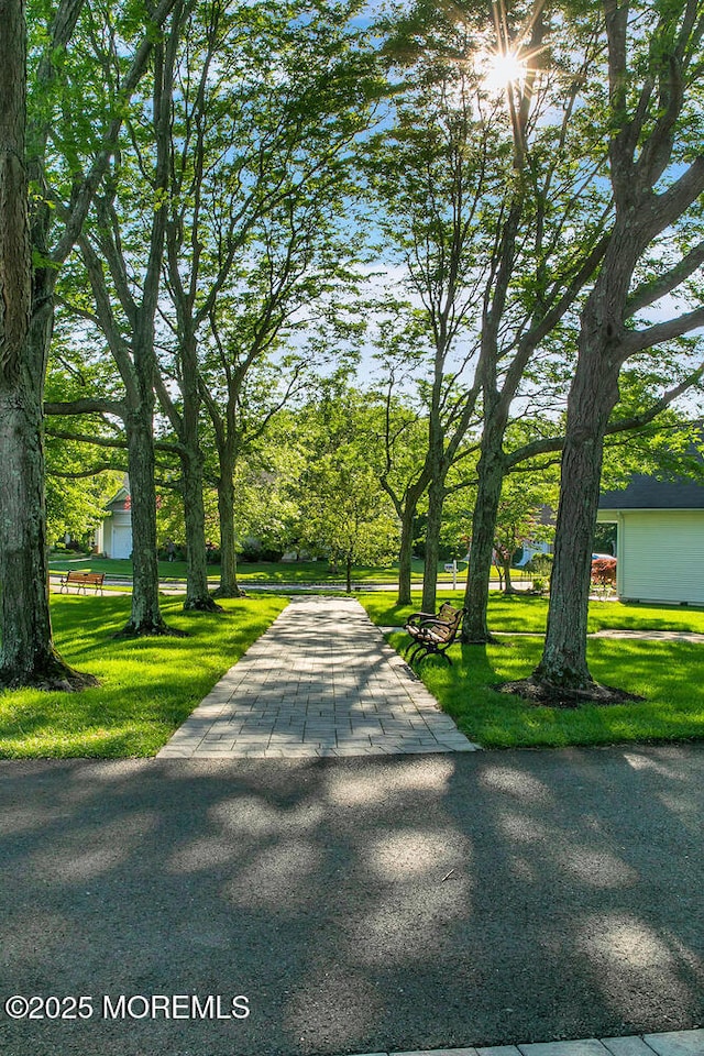 view of property's community featuring a lawn