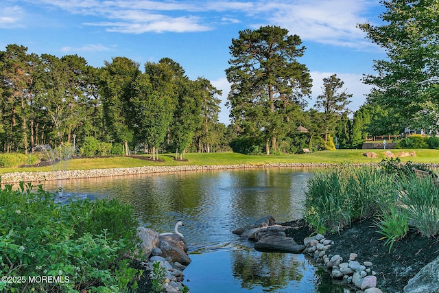 water view