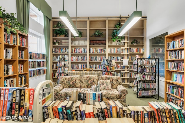 living area featuring bookshelves and carpet